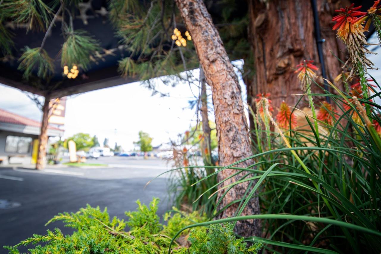 Campfire Hotel Bend Ngoại thất bức ảnh